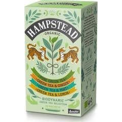 Hampstead Tea Organic Green Tea Selection 20 Sobres