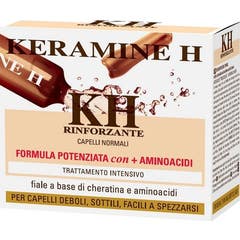 Keramine H Witband 10 Flacons 10 ml