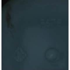 Beauterra Gel Íntimo Certificado Orgánico Hidratante 500ml