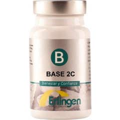 Erlingen Base 2C 60 tabs