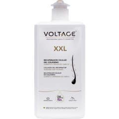 Spannungs-Kollagen-Intensivbehandlung 1000ml