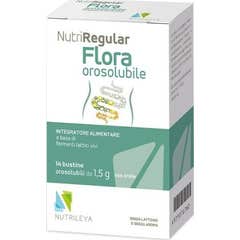 Nutriregular Flora 14 Sobres