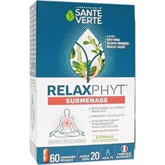 Sant Verte Srotisol Soulage 60 Comprims