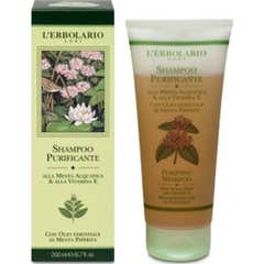 SHAMPOO PURIF MENT ACQ/VITAM E