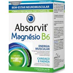 Absorvit Magnésio + B6 60comp