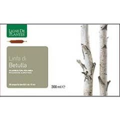 Natura Service Zumo de Abedul Bio Ampollas 20x15ml
