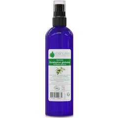 Voshuiles Hidrolato Eucalipto Globulus Cosmos 200 ml