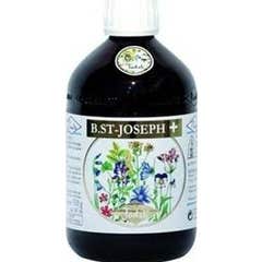 Pianto San Joseph Plus Todah Bio 510g
