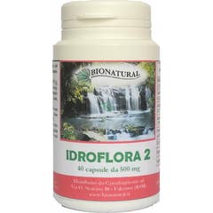 Hydroflora 2 40Cps 16G