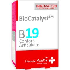 Biokatalysator B19 Articulair Comfort 60 capsules