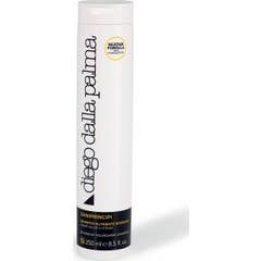 Diego dalla Palma Saniprincipi 250ml