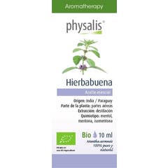 Physalis Pfefferminz 10ml