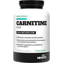 Nh Co Carnitine Coa Coa Gelul100 Grease