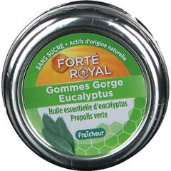 Forte Süßigkeiten Eukalyptuskaugummi 45Gr