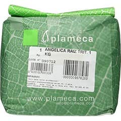 Plameca Arcydzięgiel Ziele Root Trit 1Kg
