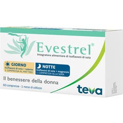Teva Evestrel Tag/Nacht 60Cpr