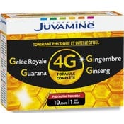 Juvamine Ginseng Gelee Royale Guarana Gingembre Tonifiant Global