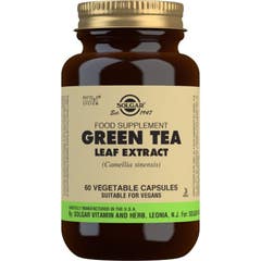 Solgar Té Verde Extracto de Hoja 60vcaps