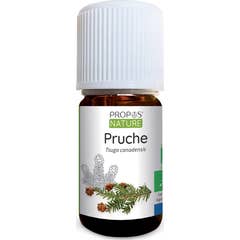 Über Nature He Organic Hemlock 5ml