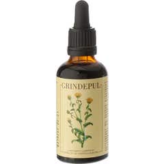 Wetenschap & Gezondheid Sbd Grindepul 50ml