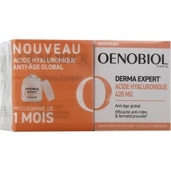 Oenobiol Derma Expert Ácido Hialurónico 2x30 Perlas