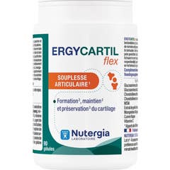 Nutergia Ergycartil Flex 90 g?lules