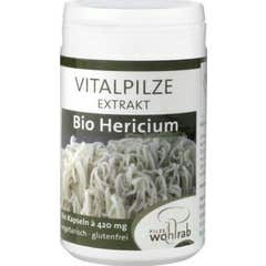 Pilze Wolhrab Criniera di Leone Hericium Bio 60caps