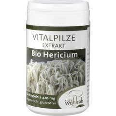 Pilze Wolhrab leeuwenmanen Hericium Bio 60caps