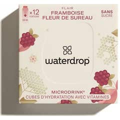 Waterdrop Microdrink Flair 12 unités