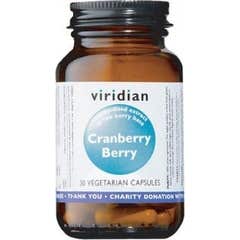 Viridian Bilberry ekstrakt standaryzowany 30 kapsułek