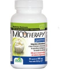 Mikoterapia Gastro 90ps