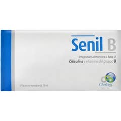 Senil B 5Fl.10Ml
