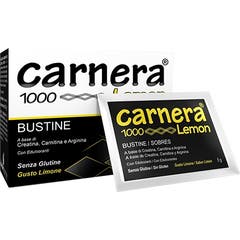 Carnera 1000 Lemon 18Bust