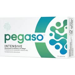 Pegaso Intensive 14caps