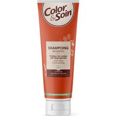 Color & Soin Shampoo til Farvet Hår med Striber 200 ml
