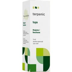 Terpenic Tuya Olio Essenziale 5 ml