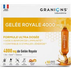 Granions Jalea Real 4000mg 10 Ampollas