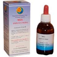 Herboplanet MSA Populus Nigra Gemas 50ml