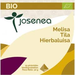 Josenea Melisa Tila Hierbaluisa BIO 15 pirámides en sobre