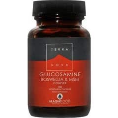 Terranova Glucosamine Boswellia Msm Complex 100caps