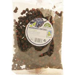 Int-Salim Arándano Negro Liofilizado Eco 40g