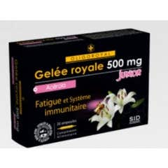 Oligoroyal Gr Acer Jun Sidn 20 Ampollas