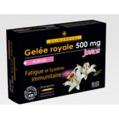 Oligoroyal Gr Acer Jun Jun Sidn Amp 20
