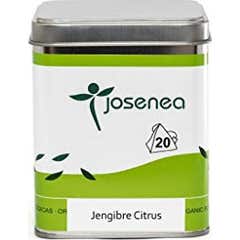 Josenea Ginger Citrus 20 pcs