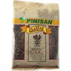 Pinisan Arnica Flower 30g
