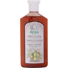 Intea Champú de Nogal Cabellos Oscuros o con Tinte 250ml