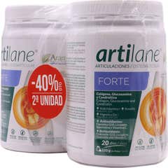 Artilane Forte Polvere 2x220g
