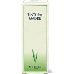 Hering Salvia Officinalis Tintura Madre Gotas 60ml