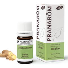 Pranarôm Bio-Ingwer ätherisches Öl 5ml Pranarôm Bio-Ingwer ätherisches Öl 5ml