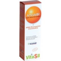Vitasil Articulasil gel 225ml